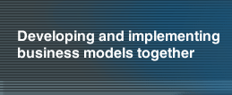 Developing and implementing business models together